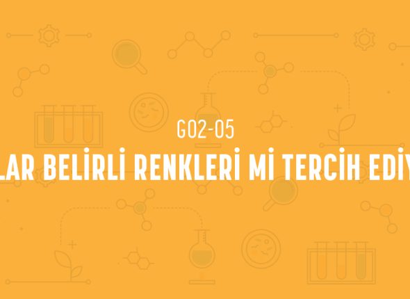 deney_kapaklari_2_sinif_tr-09