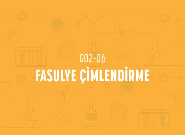 deney_kapaklari_2_sinif_tr-11