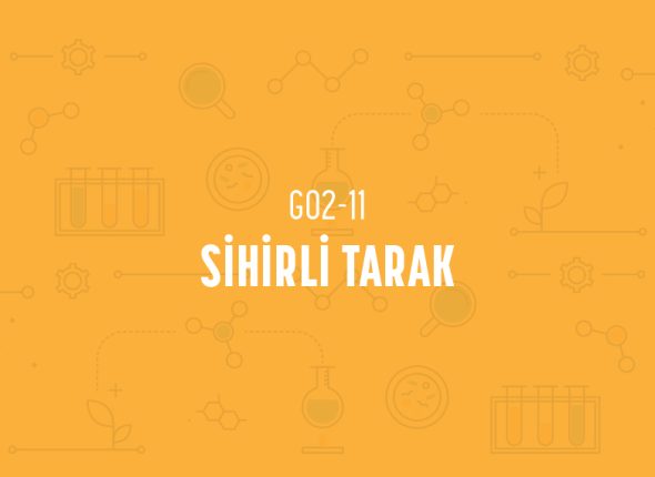 deney_kapaklari_2_sinif_tr-21