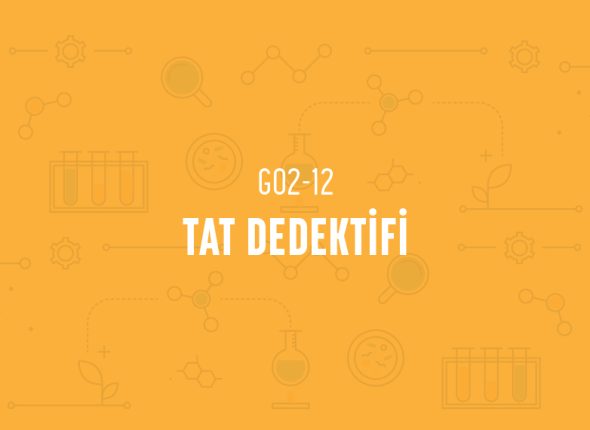 deney_kapaklari_2_sinif_tr-23