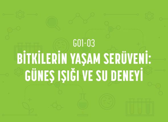 deney_kapaklari_1_sinif-05
