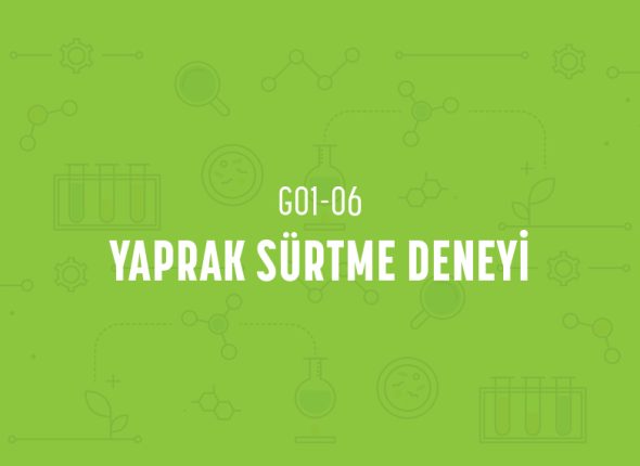 deney_kapaklari_1_sinif-11