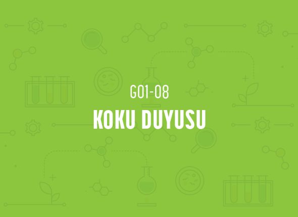 deney_kapaklari_1_sinif-15