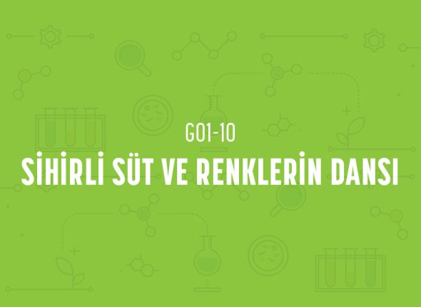 deney_kapaklari_1_sinif-19