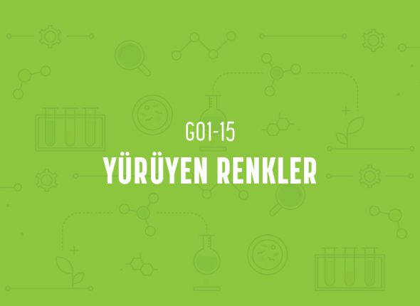 deney_kapaklari_1_sinif-29