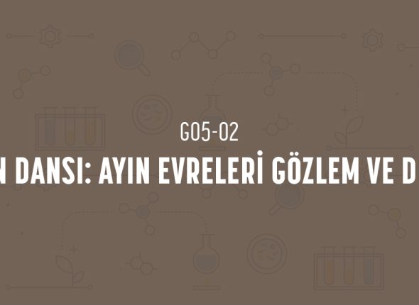 deney_kapaklari_5_sinif_tr-03