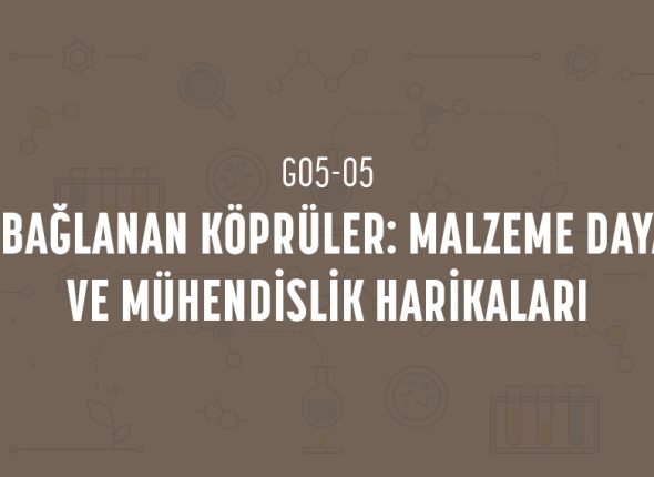deney_kapaklari_5_sinif_tr-09
