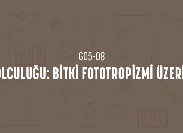 deney_kapaklari_5_sinif_tr-15
