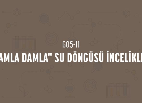 deney_kapaklari_5_sinif_tr-21