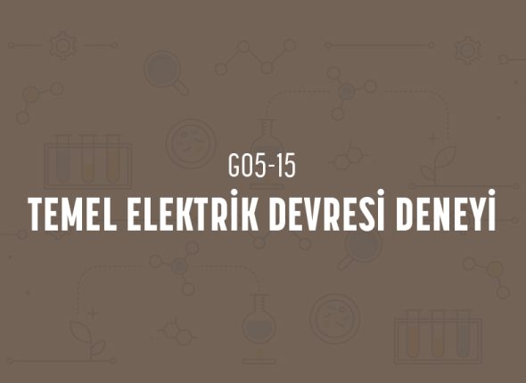 deney_kapaklari_5_sinif_tr-29