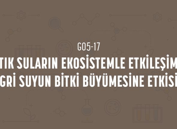 deney_kapaklari_5_sinif_tr-33