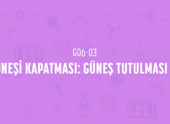 deney_kapaklari_6_sinif_tr-05