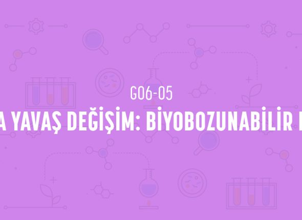 deney_kapaklari_6_sinif_tr-09