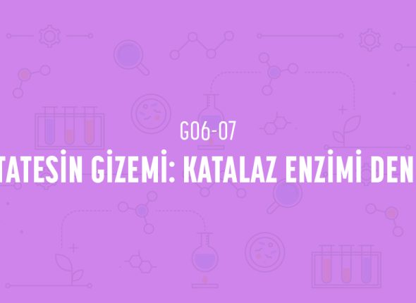 deney_kapaklari_6_sinif_tr-13