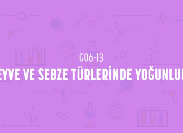 deney_kapaklari_6_sinif_tr-25