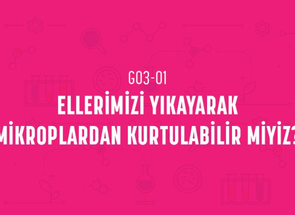 deney_kapaklari_3_sinif_tr-01