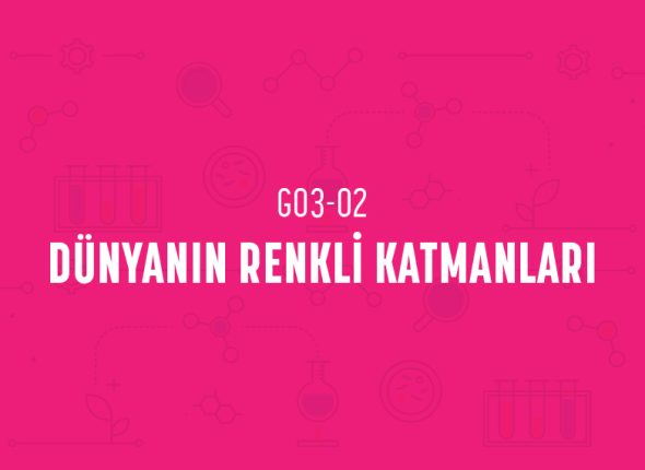 deney_kapaklari_3_sinif_tr-03