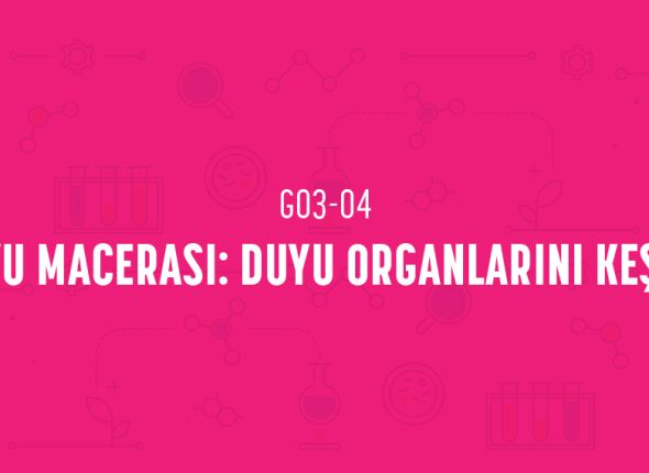 deney_kapaklari_3_sinif_tr-07
