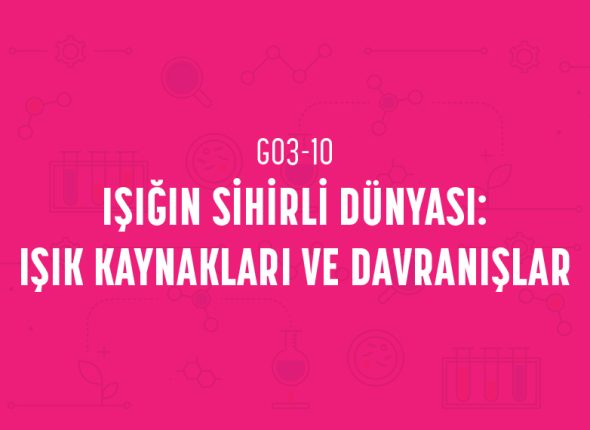 deney_kapaklari_3_sinif_tr-19