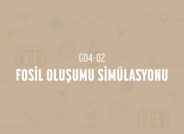 deney_kapaklari_4_sinif_tr-03