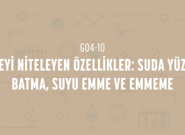 deney_kapaklari_4_sinif_tr-19