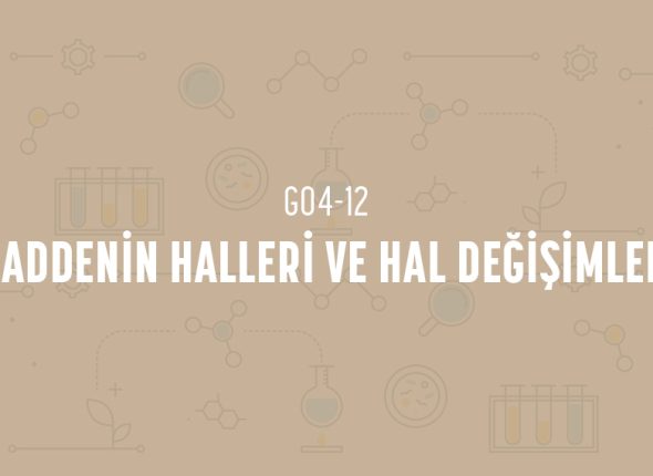 deney_kapaklari_4_sinif_tr-23