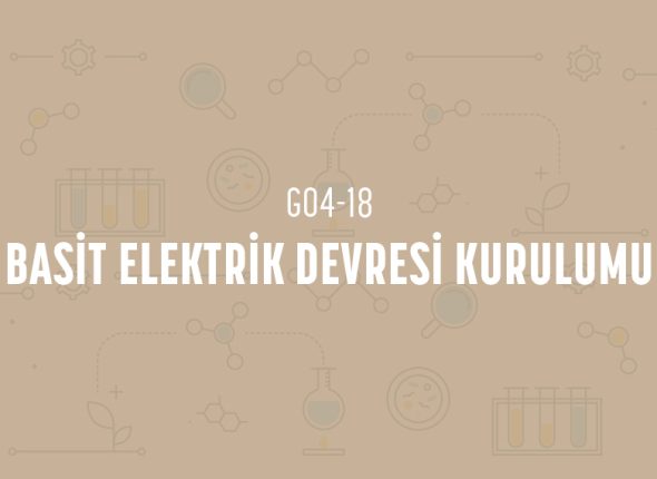 deney_kapaklari_4_sinif_tr-35