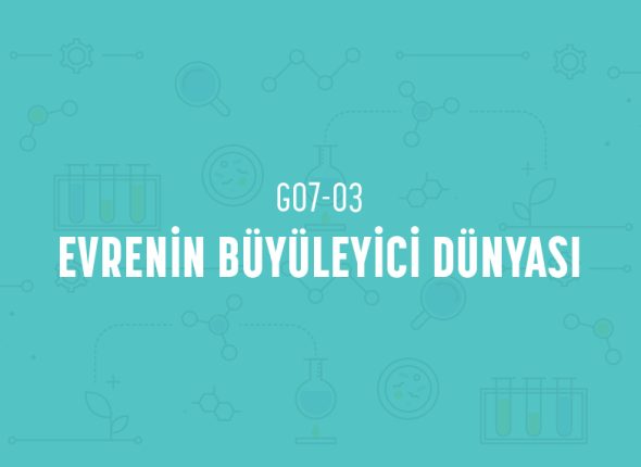 deney_kapaklari_7_sinif_tr-05