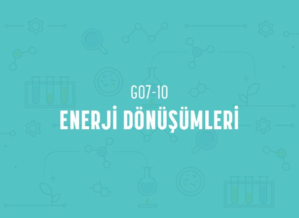 deney_kapaklari_7_sinif_tr-19
