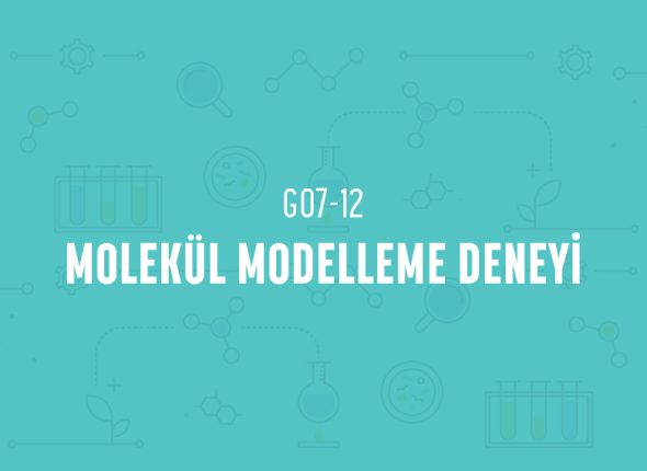 deney_kapaklari_7_sinif_tr-23