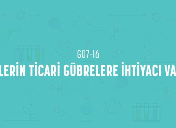 deney_kapaklari_7_sinif_tr-31