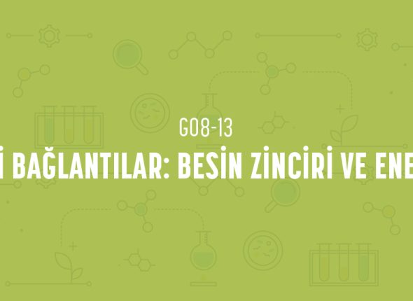 deney_kapaklari_8_sinif_tr-25