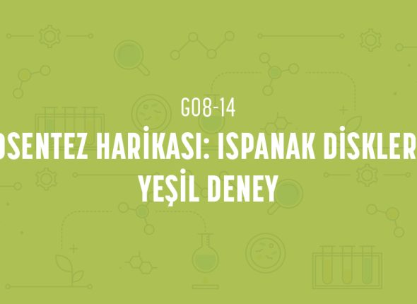 deney_kapaklari_8_sinif_tr-27