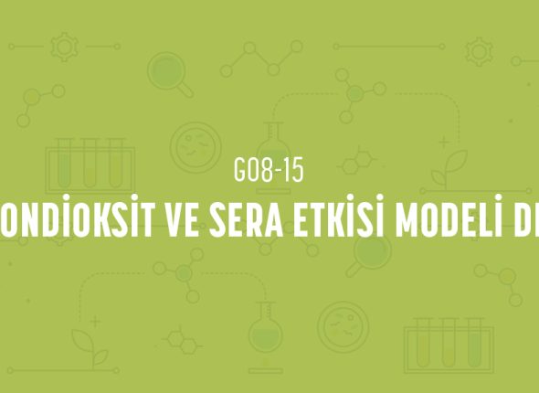 deney_kapaklari_8_sinif_tr-29