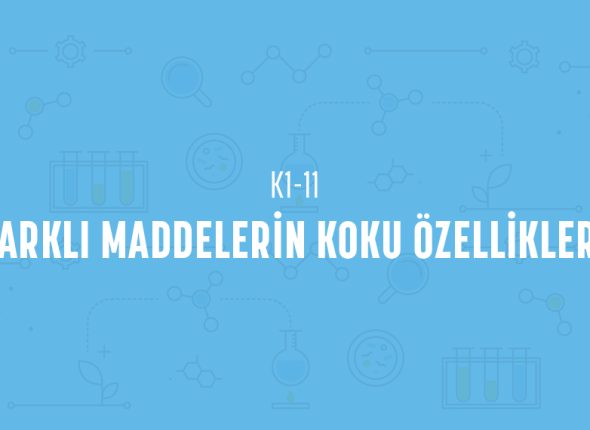 deney_kapaklari_anaokulu_tr-21